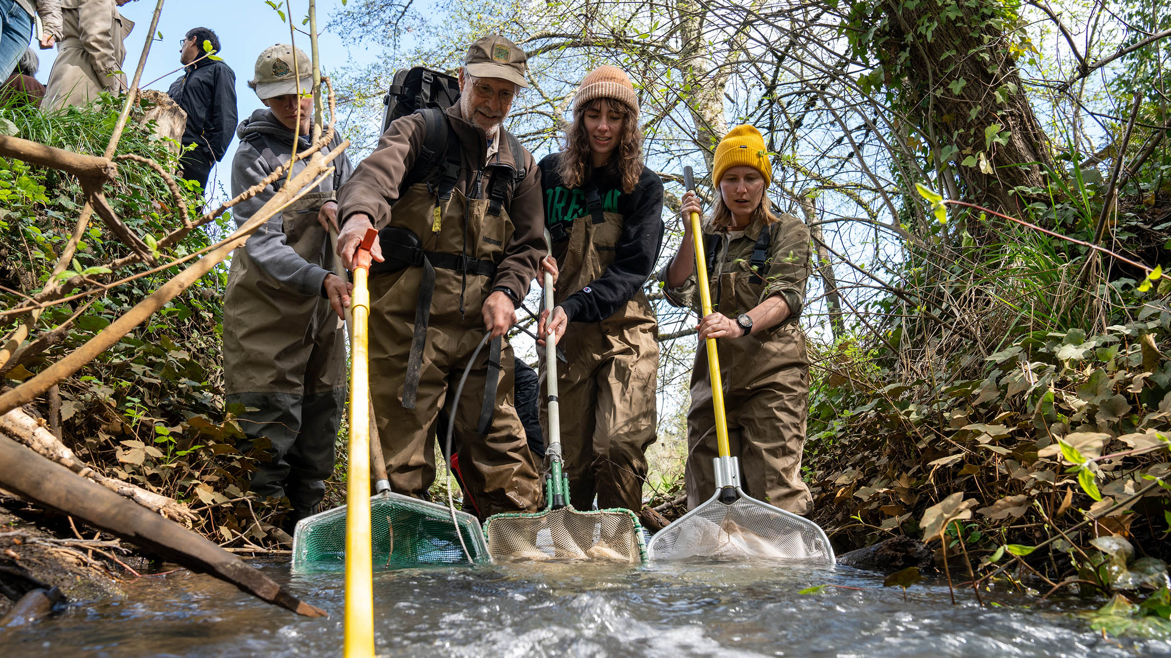 Students and faculty participating in ecology field research in the Millrace Natural Area near campus