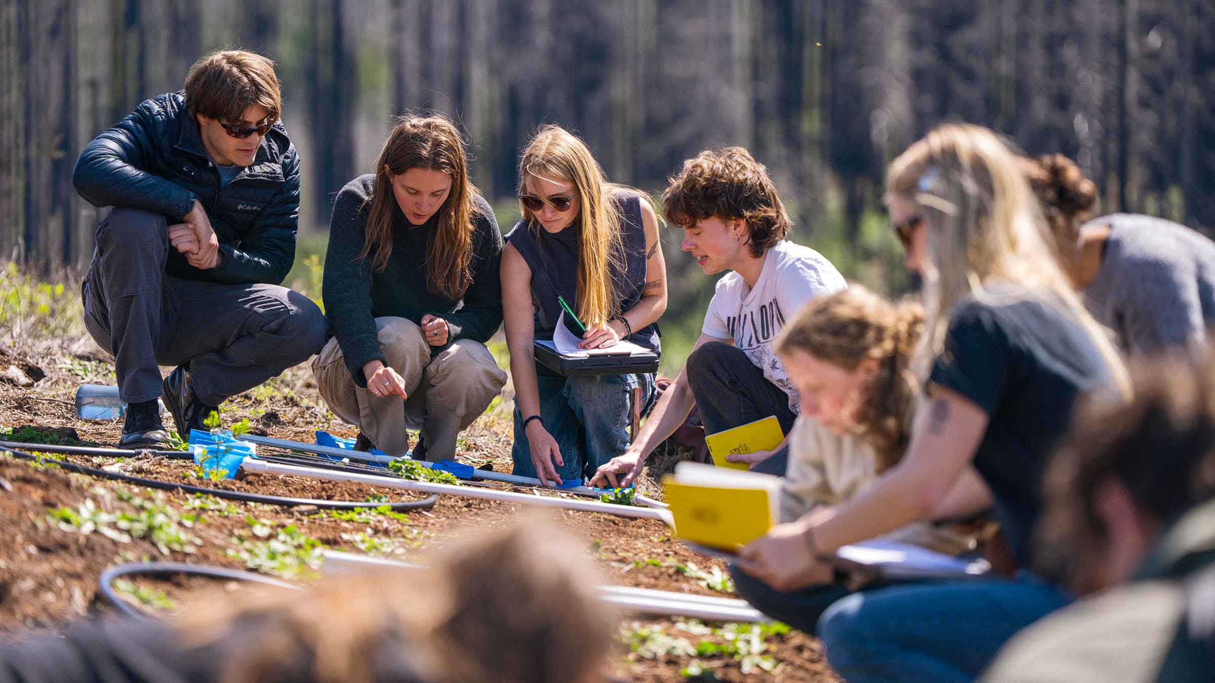 Students examine environmental conditions during a field-based environmental humanities course
