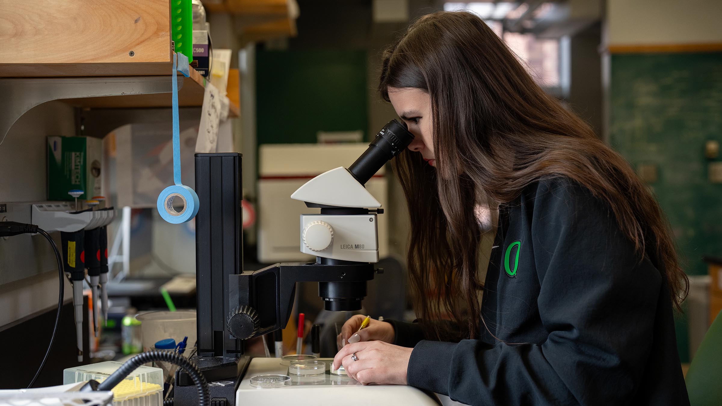 Student looking through a Leica M80 microscope