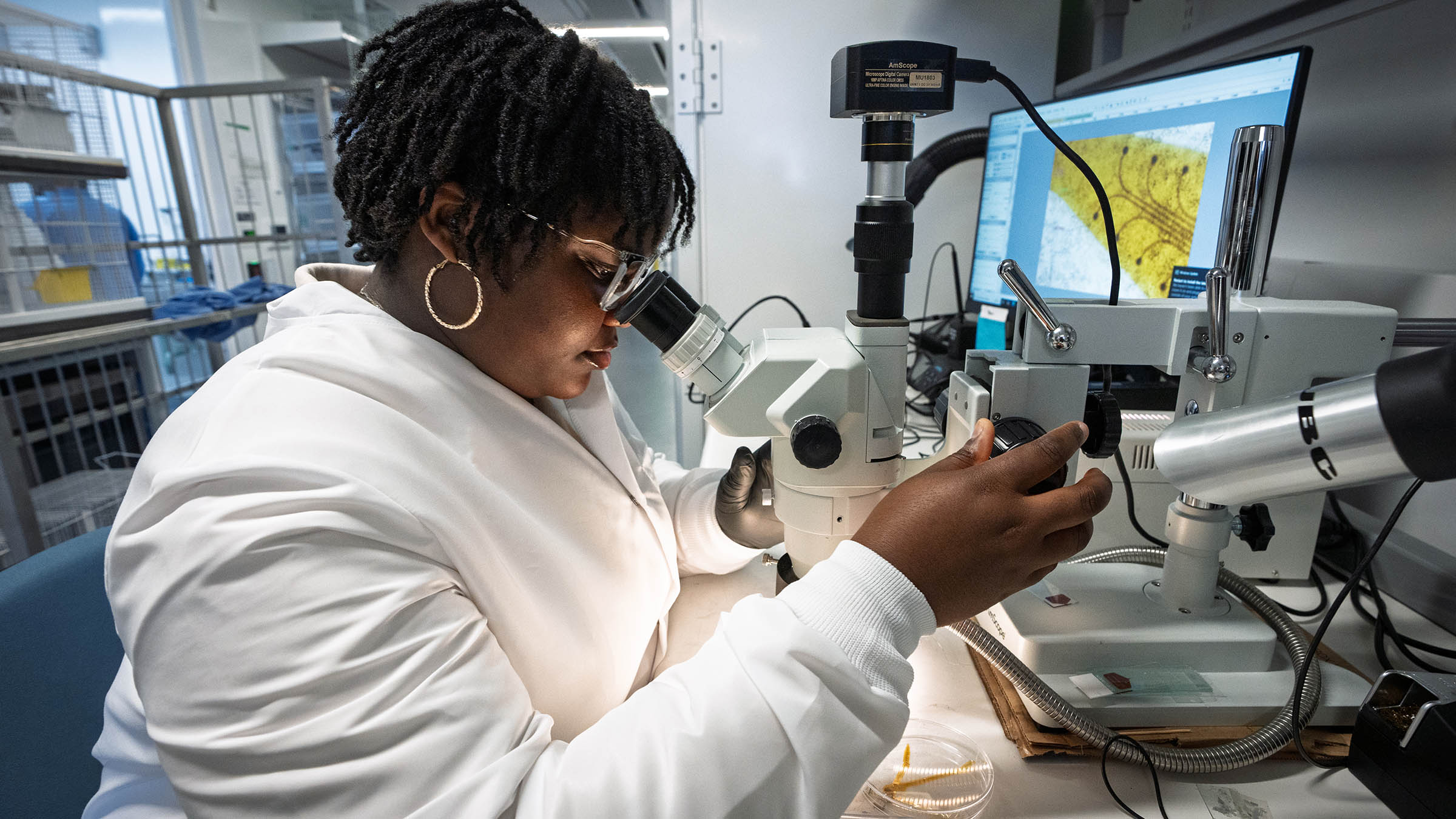 Knight Campus Undergraduate Scholar using a microscope to study materials at the intersection of chemistry and neuroengineering