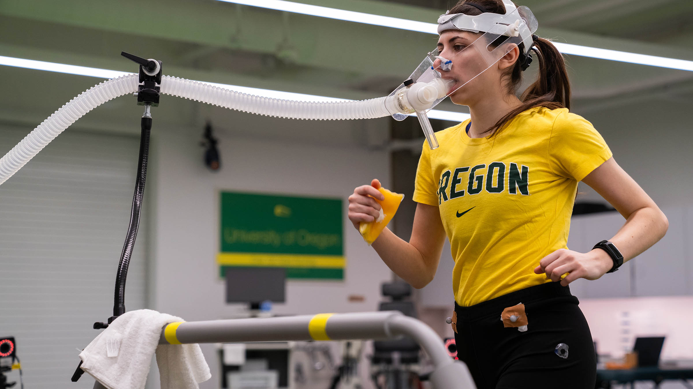 Participant in human sport and performance physiology research